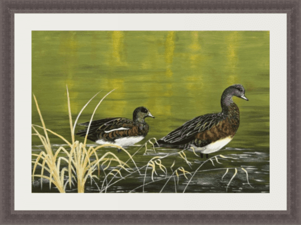 Ducks in Tranquility